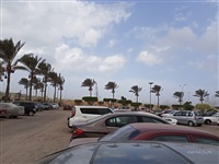 حالة الطقس في سيناء 