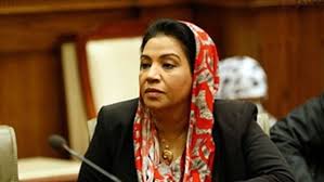 النائبة نشوى الديب