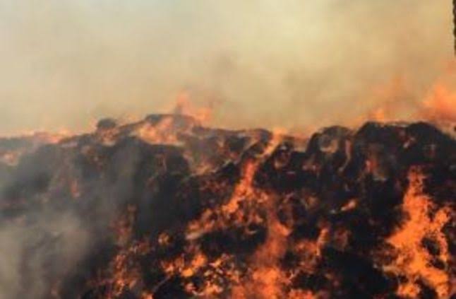 حريق بمزرعة دواجن بمنية النصر ونفوق ٦ آلاف دجاجة.. أرشيفية