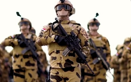 الجيش المصري 