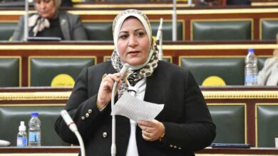 النائبة غادة الضبع عضو مجلس النواب 