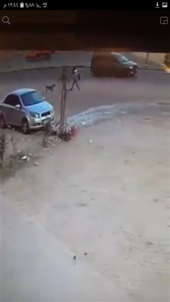 ارشيفية