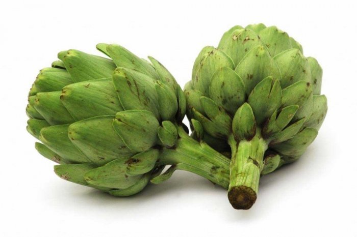 الخرشوف 