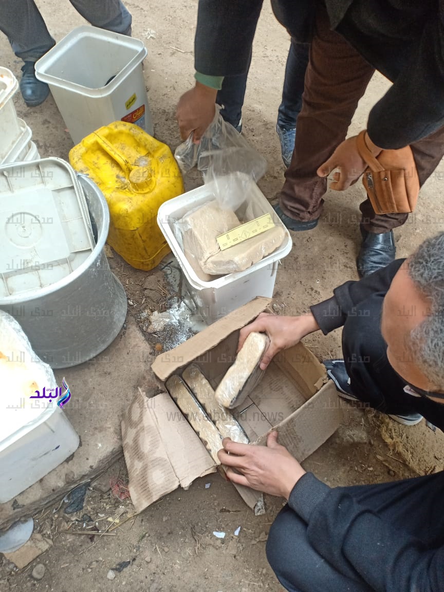 إعدام نصف طن أغذية فاسدة