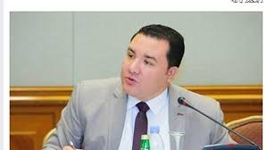  الدكتور محمد باغة أستاذ الإدارة