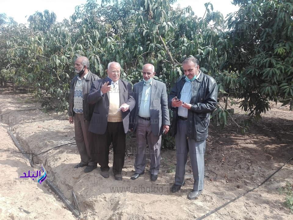 وكيل زراعة الاسماعيلية