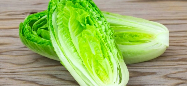 خطوات حفظ الخس طازج فى الثلاجة