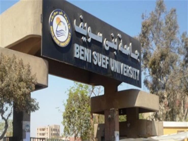 جامعة عين شمس 