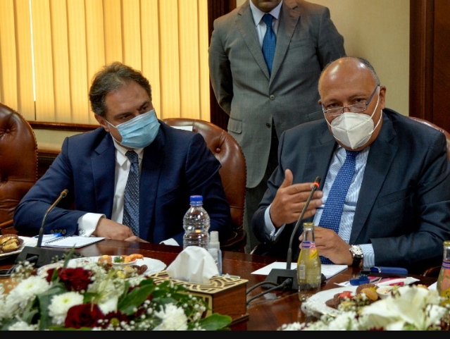 وزير الخارجية والسفير ايهاب بدوي