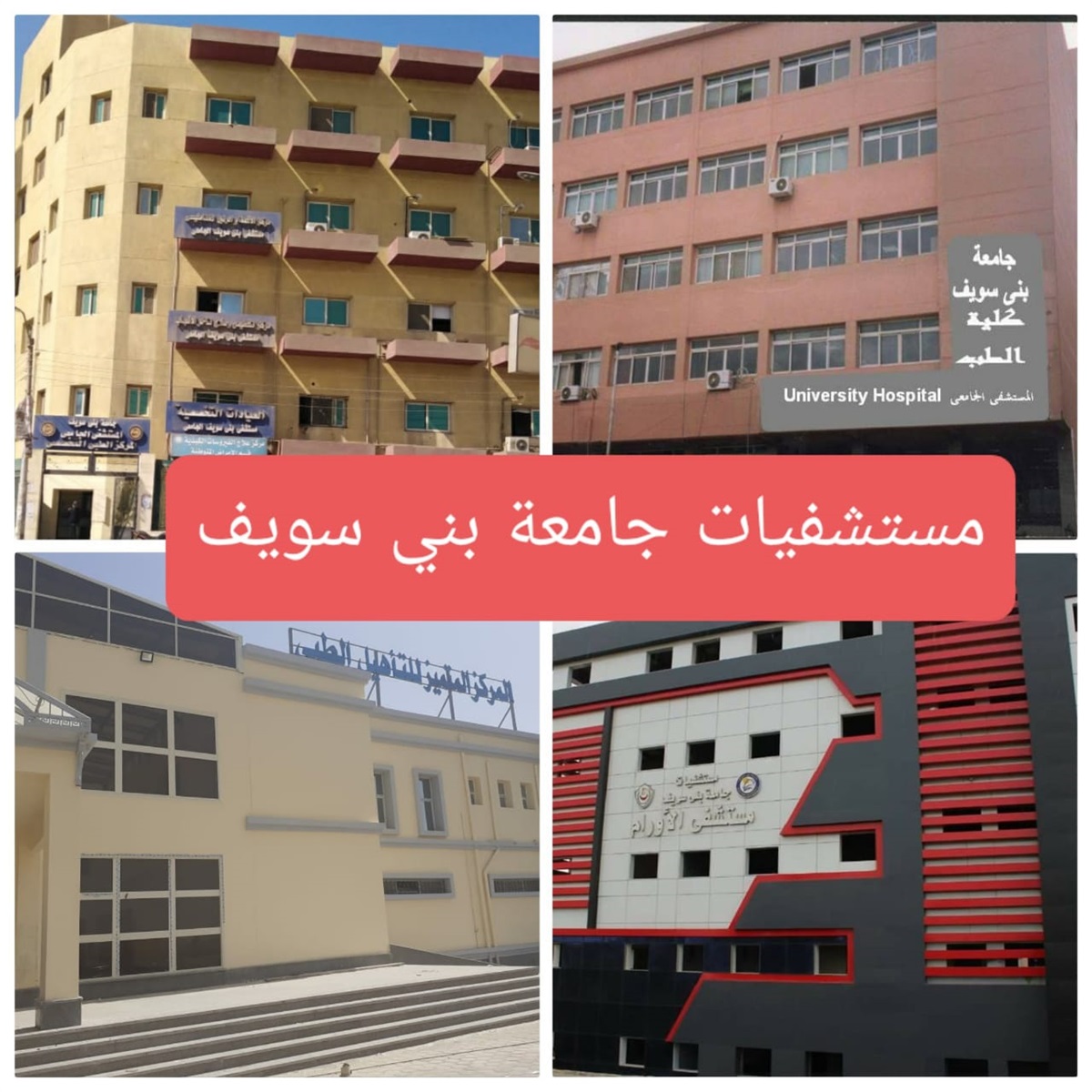 جامعة بنى سويف