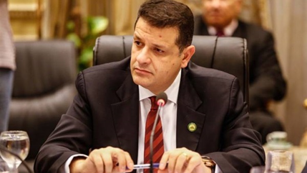 النائب طارق رضوان عضو مجلس النواب 
