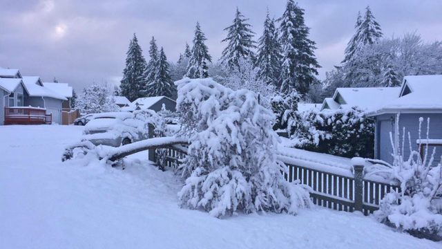 عاصفة ثلجية 