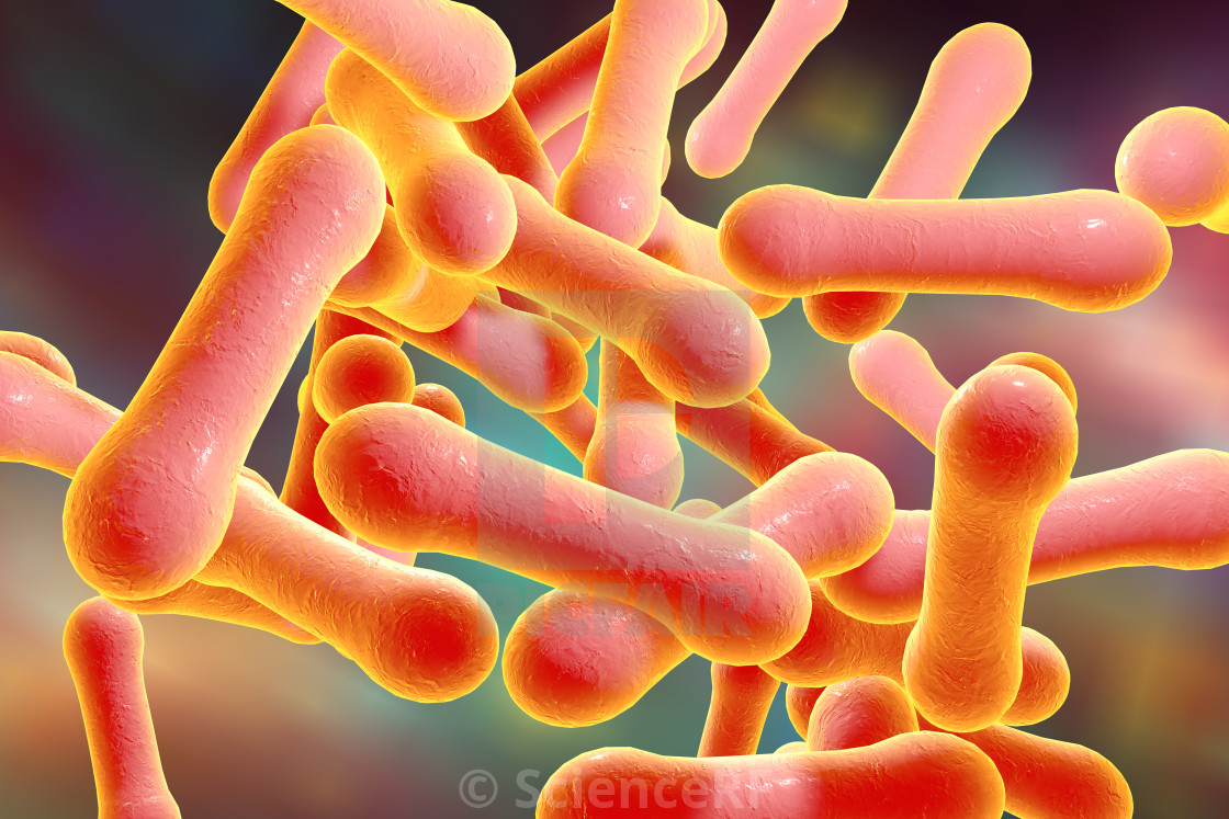 مرض الدفتيريا 