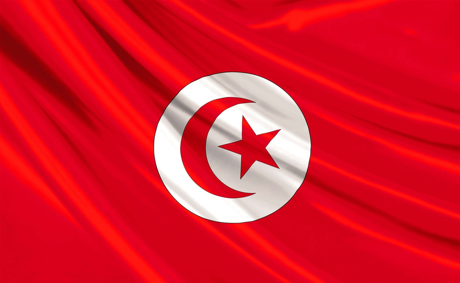 علم تونس 
