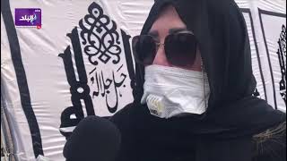 نهال عنبر