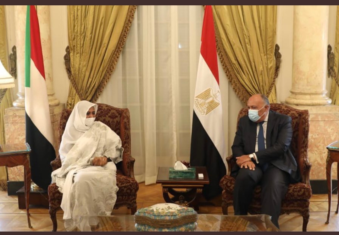 لقاء سامح شكرى مع وزير خارجية السودان