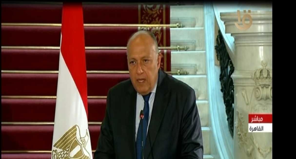 وزير الخارجية المصري