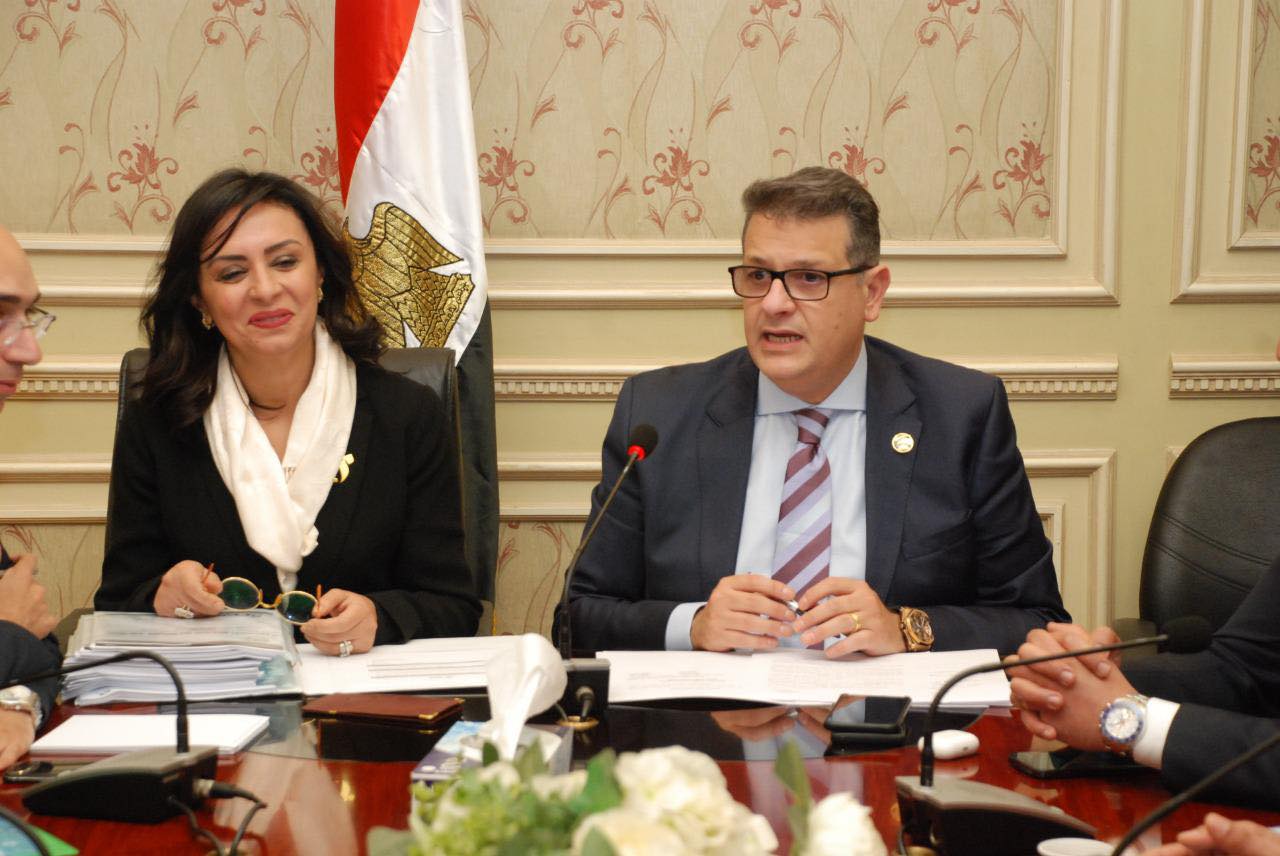 طارق رضوان رئيس لجنة حقوق الانسان بمجلس النواب