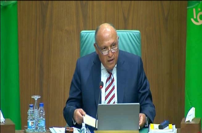 سامح شكري وزير الخارجية