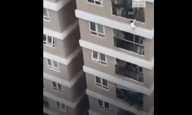 سائق ينقذ طفلة من الموت 