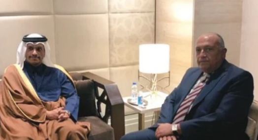 وزير الخارجية المصري ونظيره القطري