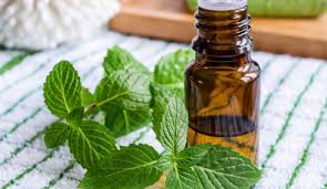 انقاص الوزن وتحسين الذاكرة .. فوائد غير متوقعة للنعناع انقاص الوزن وتحسين الذاكرة .. فوائد غير متوقعة للنعناع