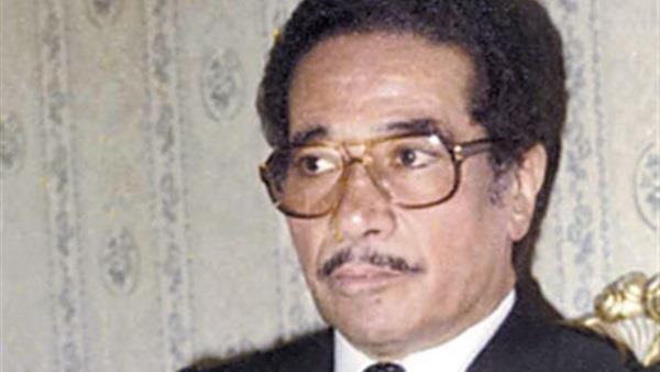 محمد الموجى 