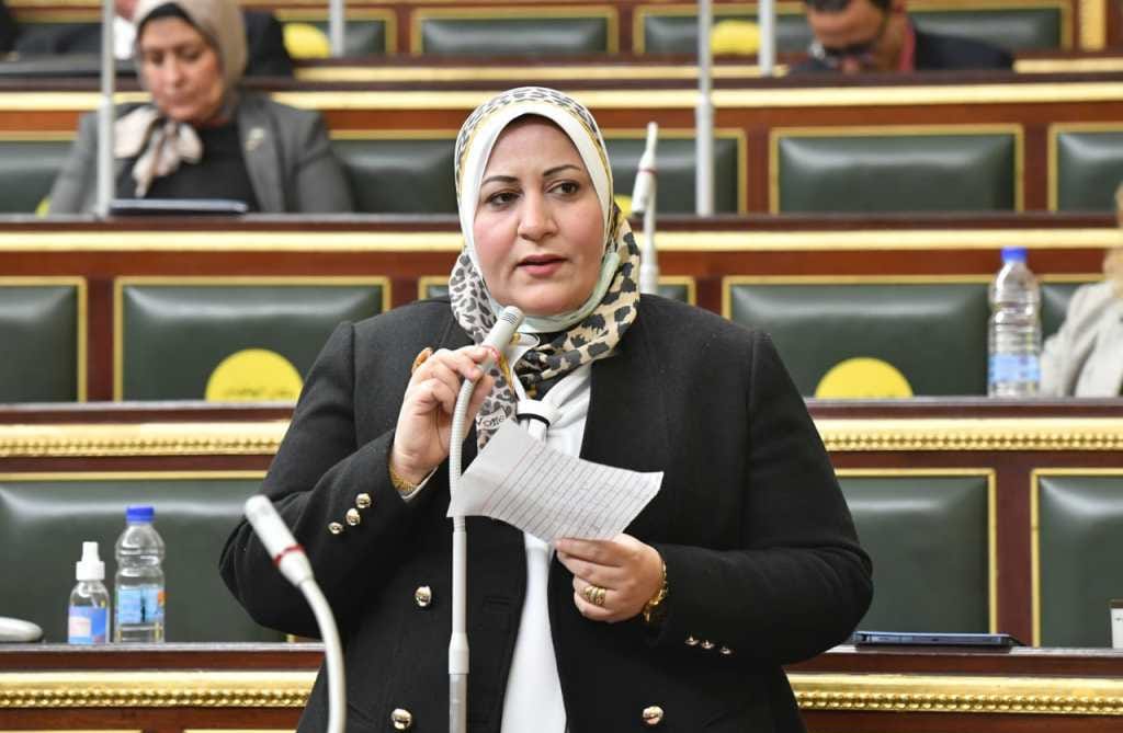 النائبة، غادة الضبع عضو مجلس النواب
