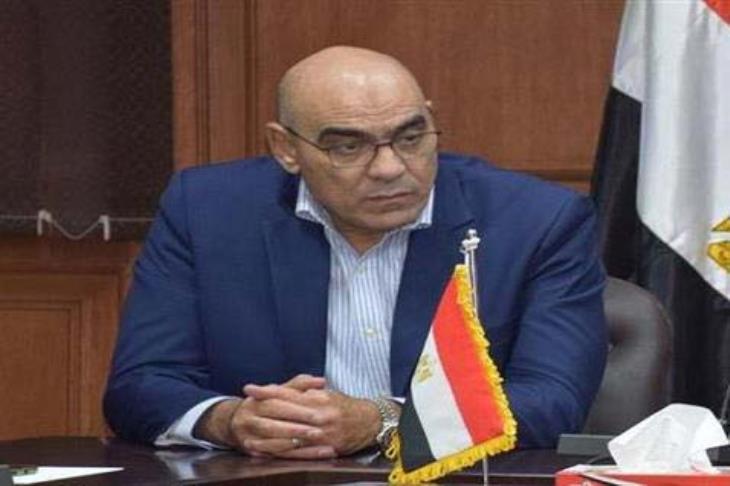 هشام نصر