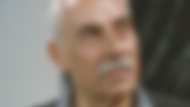 الفنان السوري هاني شاهين