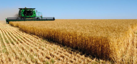 محاصيل زراعية 