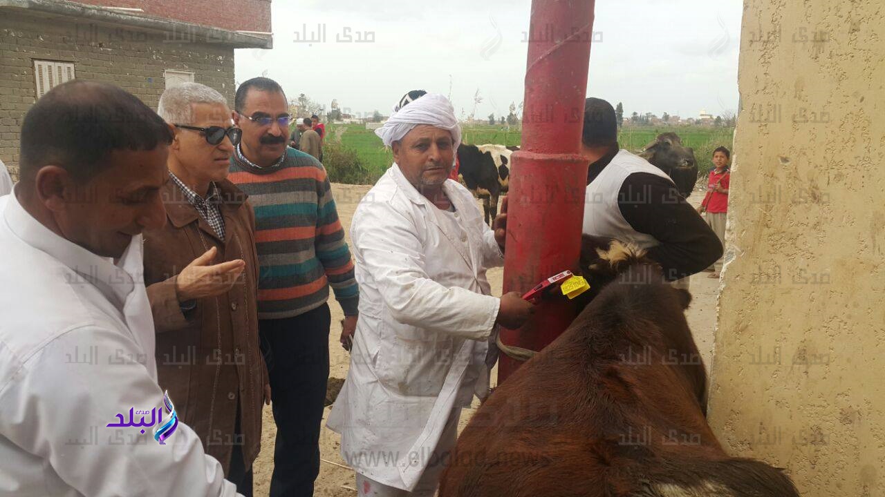 جانب من الحدث جانب من الحدث