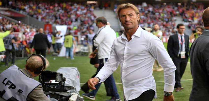 هيرفى رينارد هيرفى رينارد