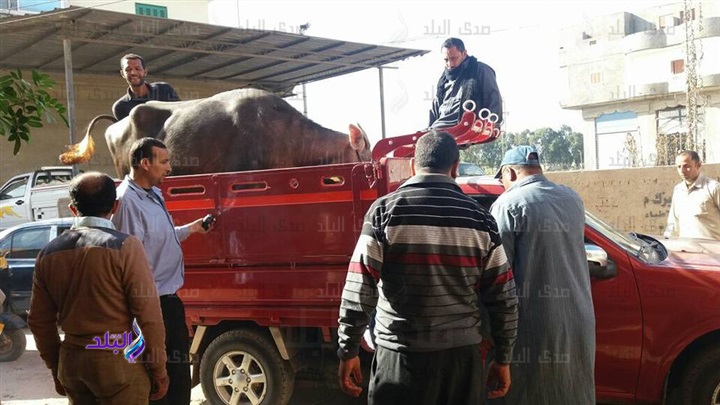 صورة أرشيفية صورة أرشيفية