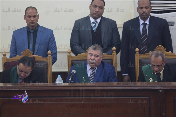 المستشار حسن فريد