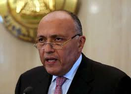 وزير الخارجية سامح شكري وزير الخارجية سامح شكري