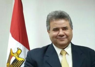 الدكتور السيد يوسف القاضى