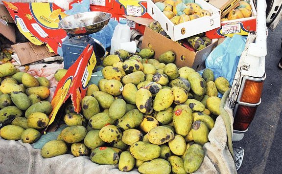 فواكة فاسدة فواكة فاسدة