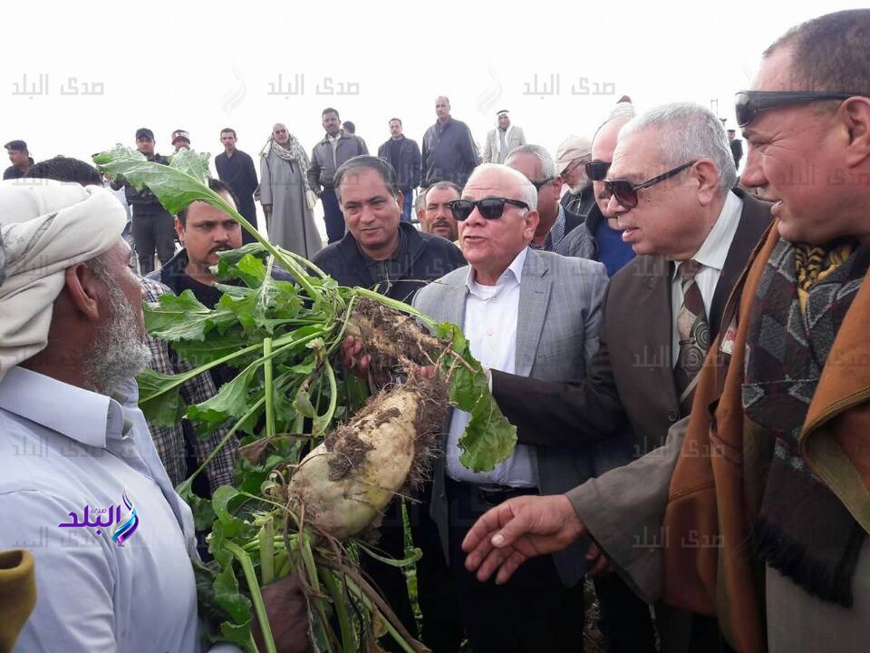 جانب من الحدث جانب من الحدث