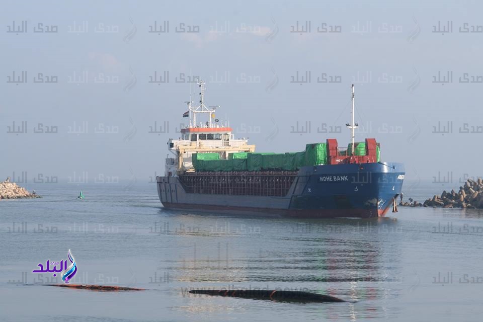 صورة أرشيفية صورة أرشيفية