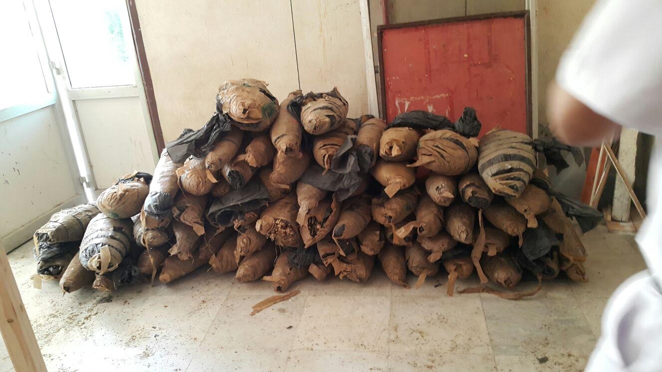 صورة أرشيفية