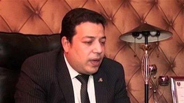 المستشار ميشيل إبراهيم حليم 