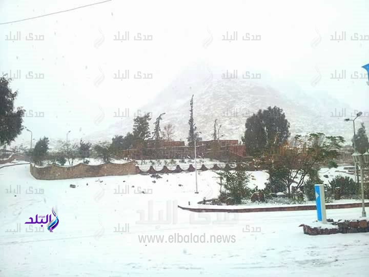جانب من الحدث جانب من الحدث