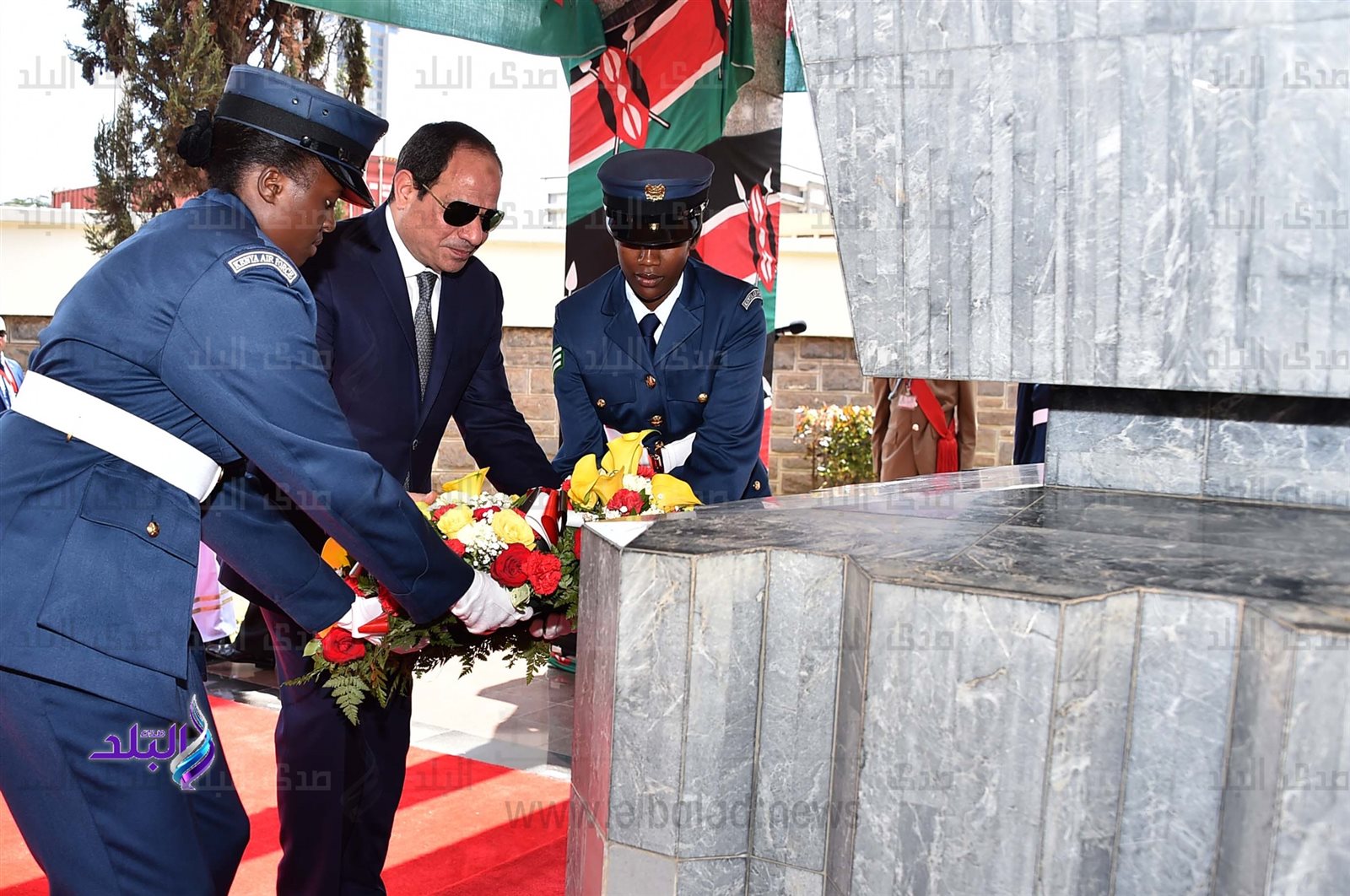 الرئيس السيسى