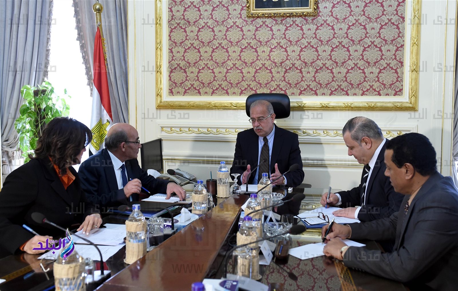 الدكتور عبد المنعم عبد الودود البنا وزير الزراعة الدكتور عبد المنعم عبد الودود البنا وزير الزراعة