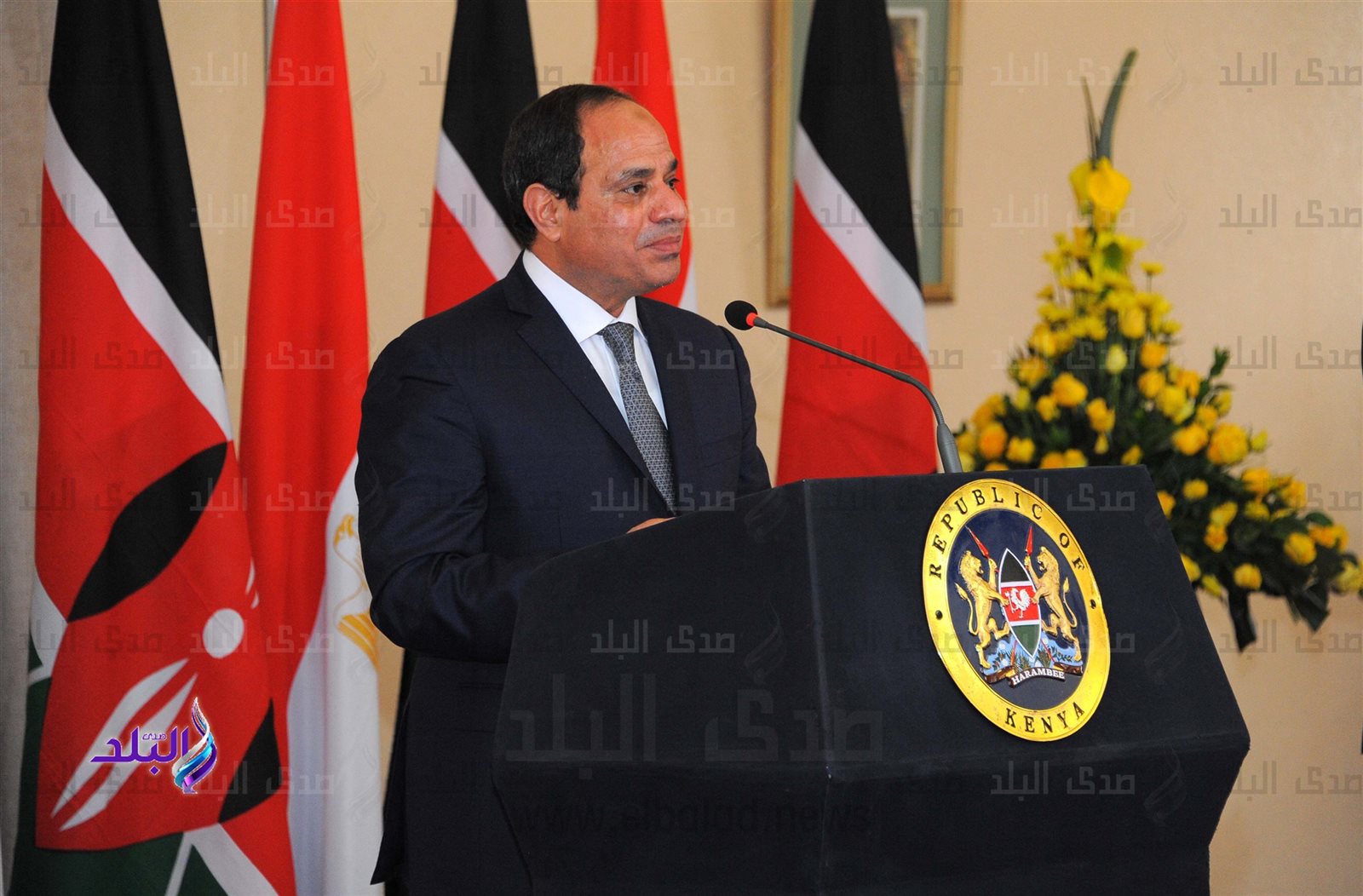 الرئيس السيسى الرئيس السيسى