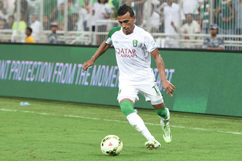 محمد عبدالشافى