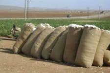صورة أرشيفية صورة أرشيفية