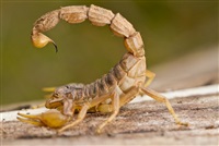 صورة أرشيفية صورة أرشيفية