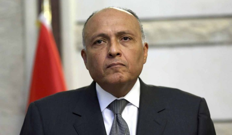 وزير الخارجية سامح شكري وزير الخارجية سامح شكري